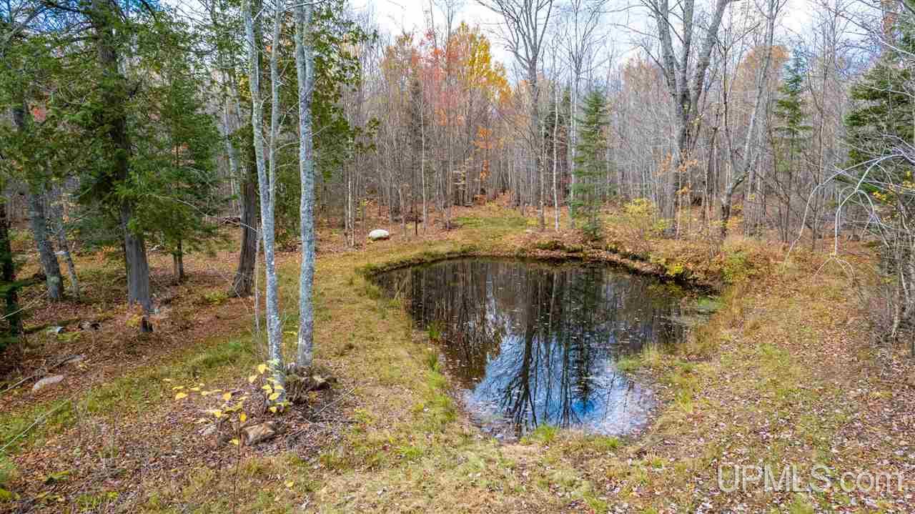 Tbd Tbd Iron Gate Road Mohawk, MI 49950 - Photo 9 of 17
