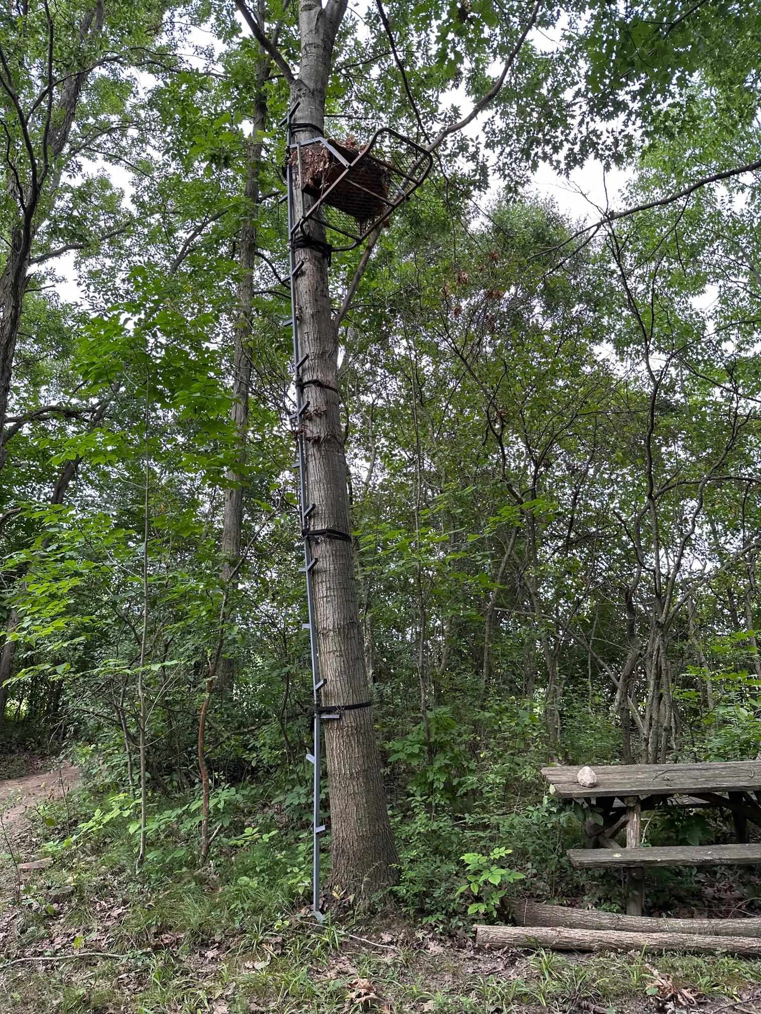 2506 South Oak Road Davison, MI 48423 - Photo 42 of 48 Tree stand #1