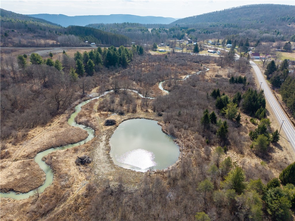 0 County Route 13 Bath, NY 14810 - Photo 1 of 7