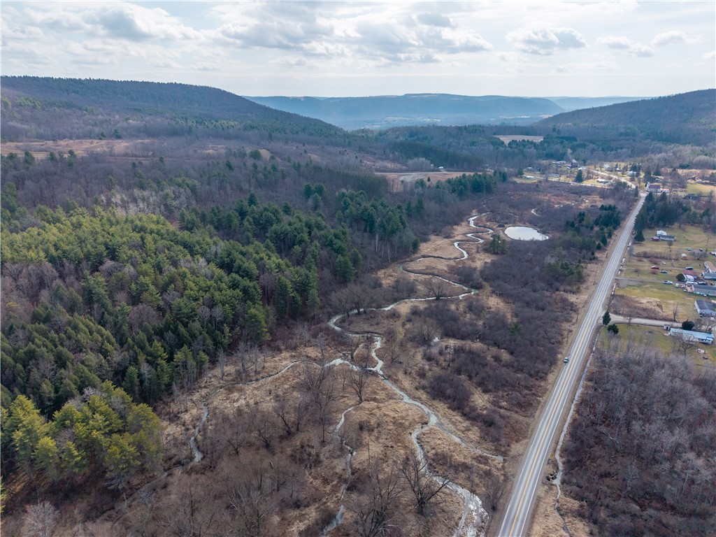 0 County Route 13 Bath, NY 14810 - Photo 7 of 7