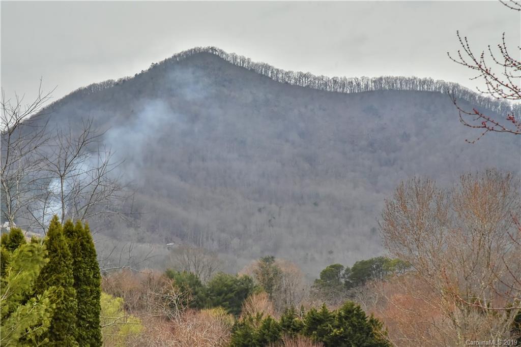 9 Ridge Road Candler, NC 28715 - Photo 4 of 25 Gallery Image 4