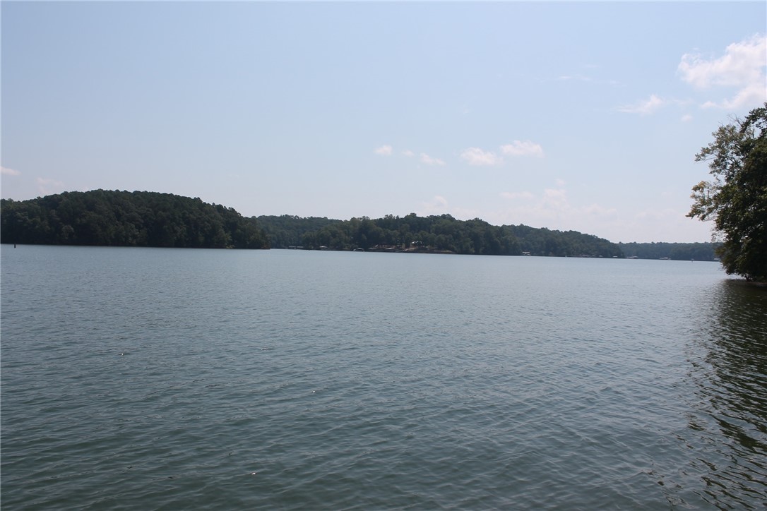 305 Robinhood Road Townville, SC 29689 - Photo 31 of 33 Gallery Image 31