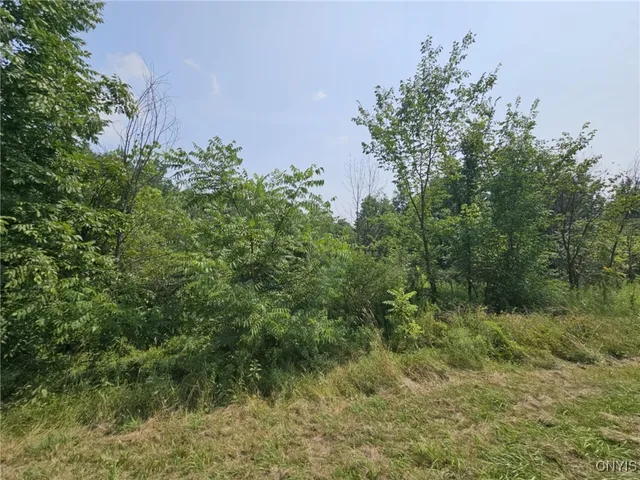 $39,900 | 37 County Route, West Monroe, NY 13167