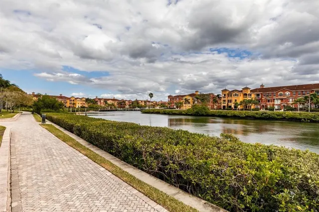 a view of a park with large trees