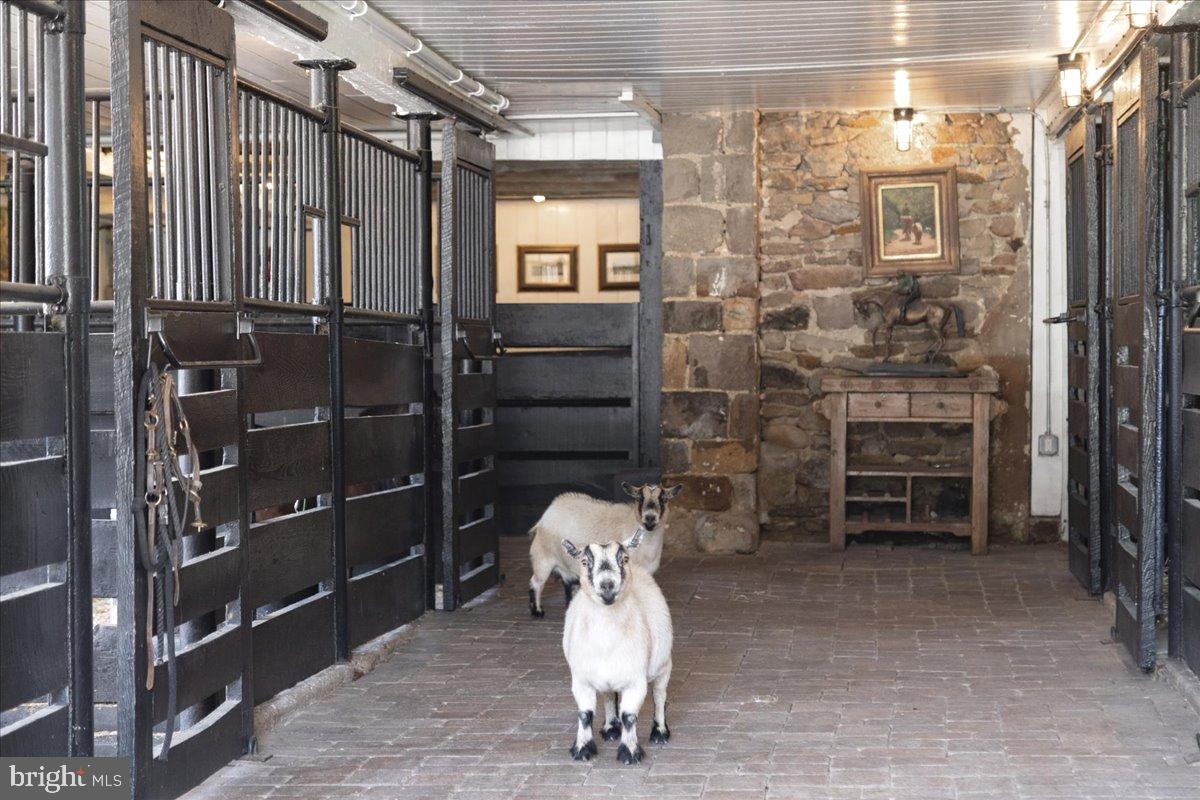 5966 Mechanicsville Road Doylestown, PA 18902 - Photo 78 of 89