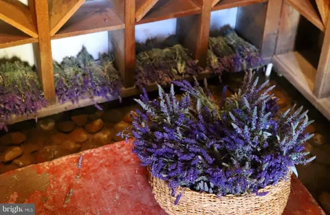 $10,888,000 | 5966 Mechanicsville Road, Doylestown, PA 18902