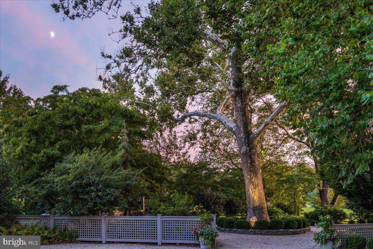 5966 Mechanicsville Road Doylestown, PA 18902 - Photo 87 of 89