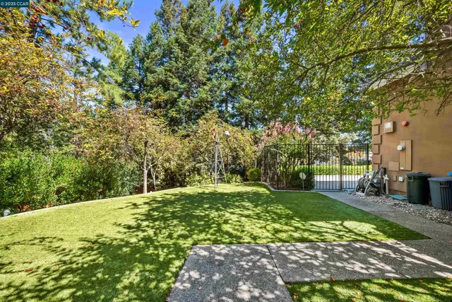 a view of a yard with a tree