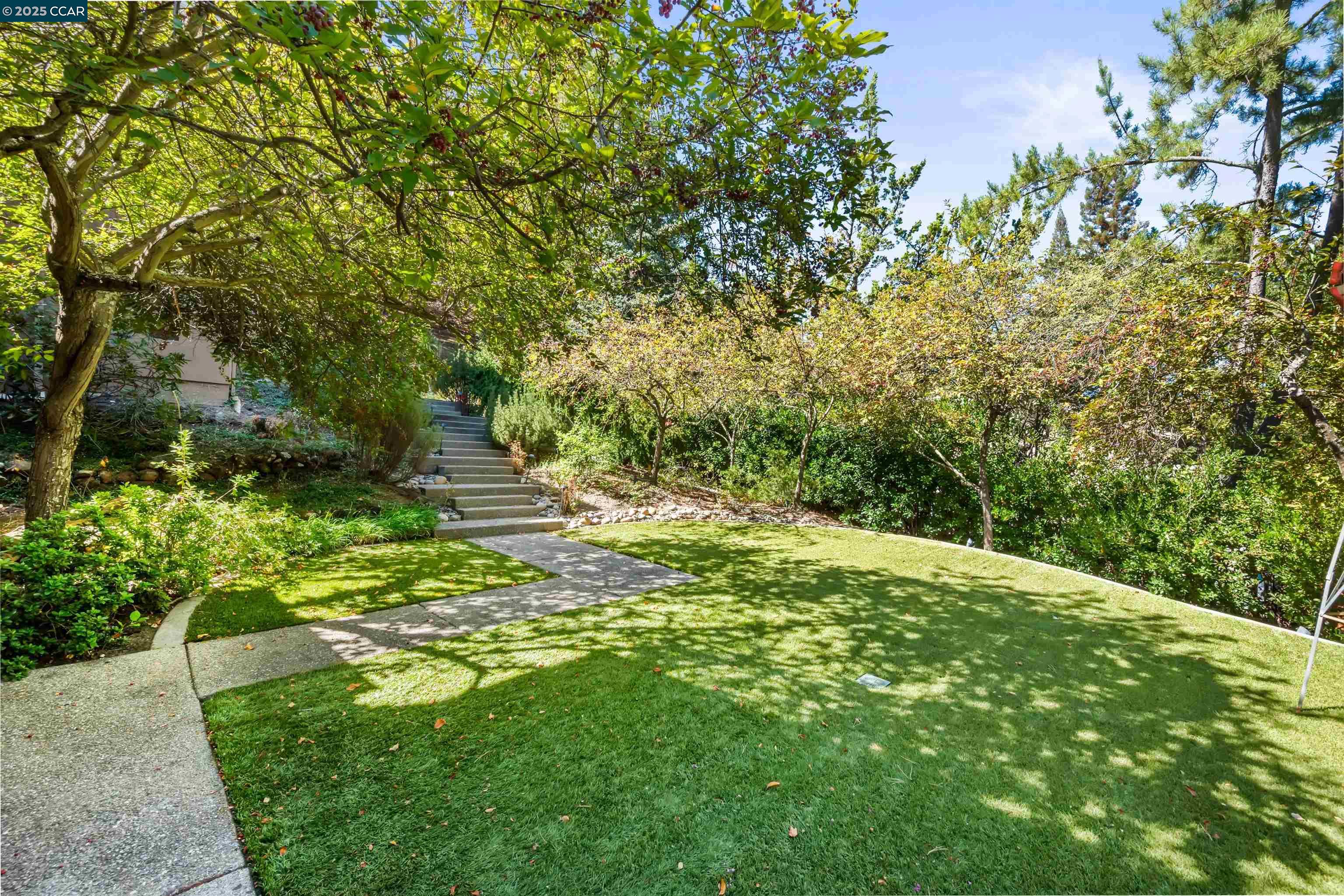 20 Oak Crest Lane Alamo, CA 94507 - Photo 38 of 41 a backyard of a house with lots of green space and garden