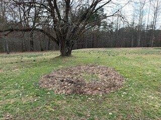 177 Paris Karr Road Keavy, KY 40737 - Photo 23 of 23 Listing Photo