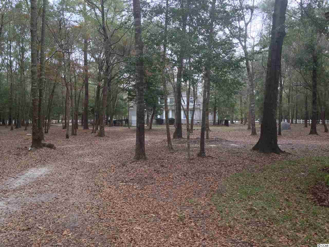 3446 Wilderness Lane Murrells Inlet, SC 29576 - Photo 24 of 24 Gallery Image 24