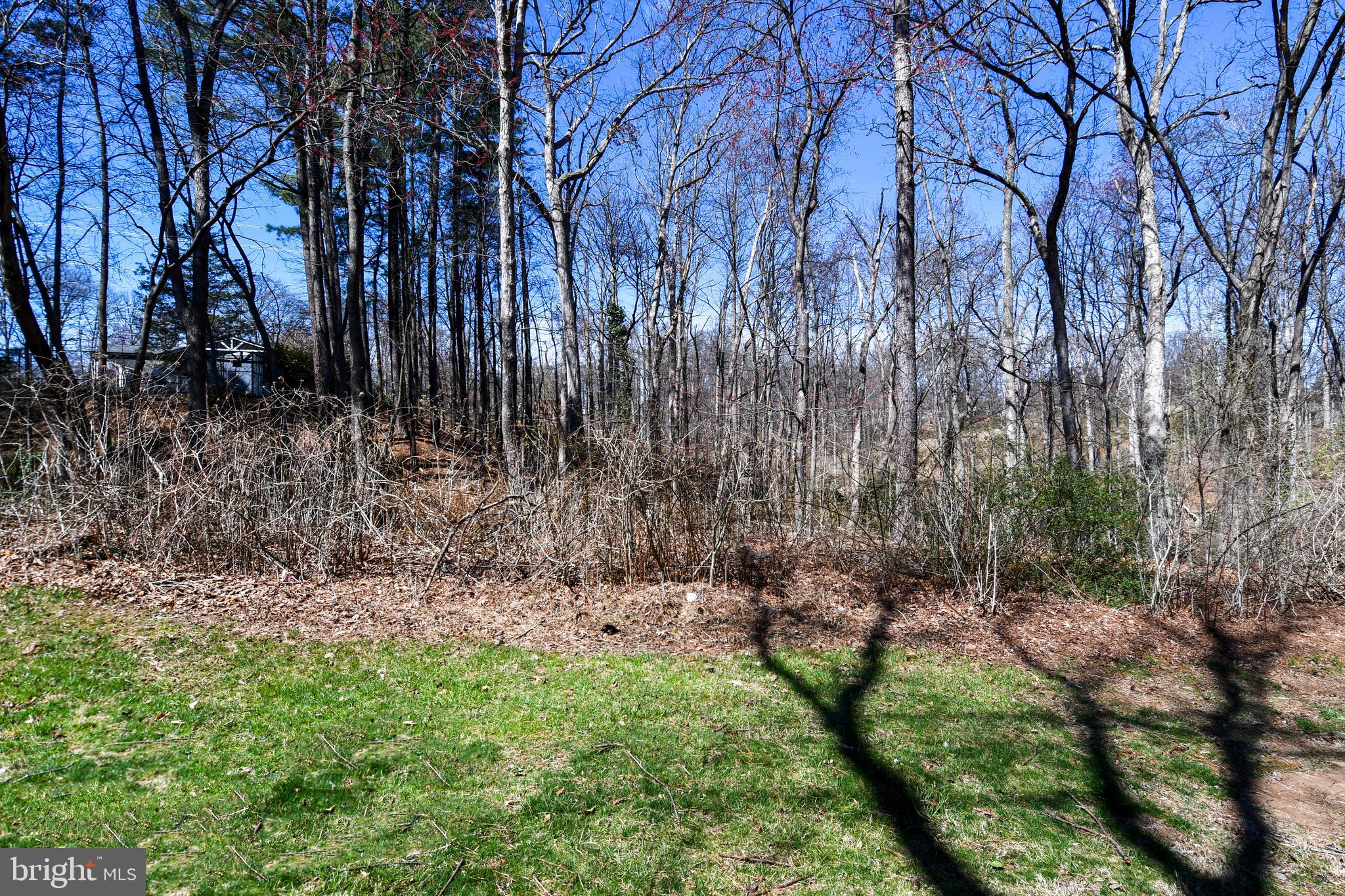 12604 Dulcinea Place Woodbridge, VA 22192 - Photo 50 of 63 a view of backyard with green space