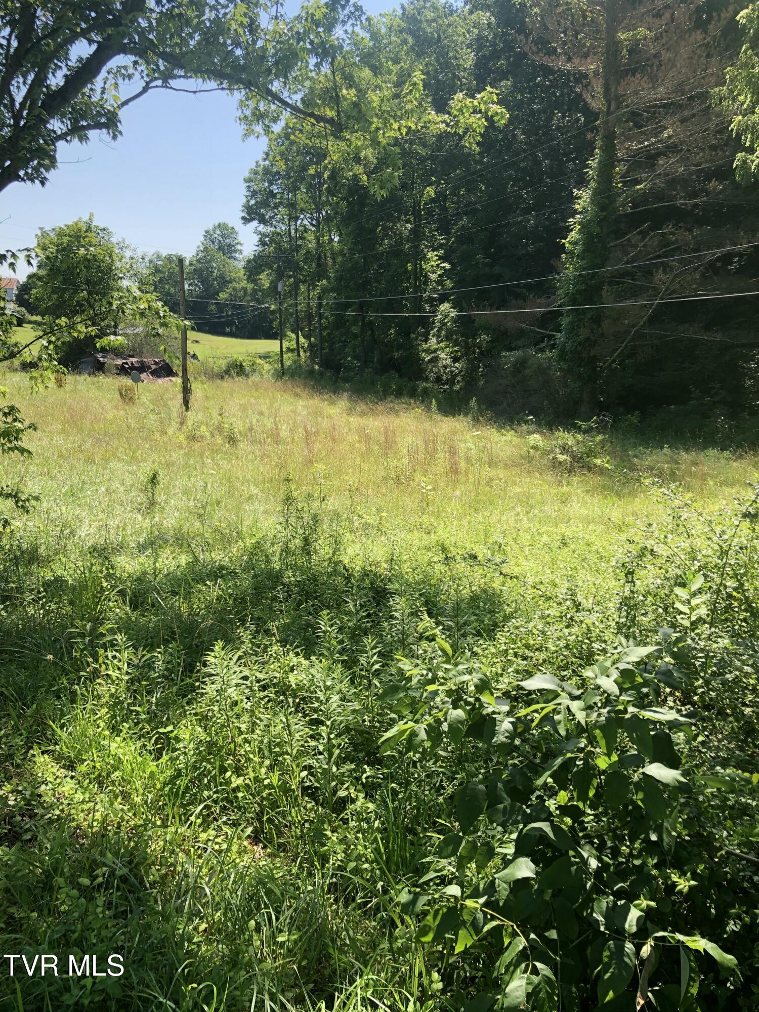 467 Oak Glen Circle Fall Branch, TN 37656 - Photo 1 of 7 IMG_0748