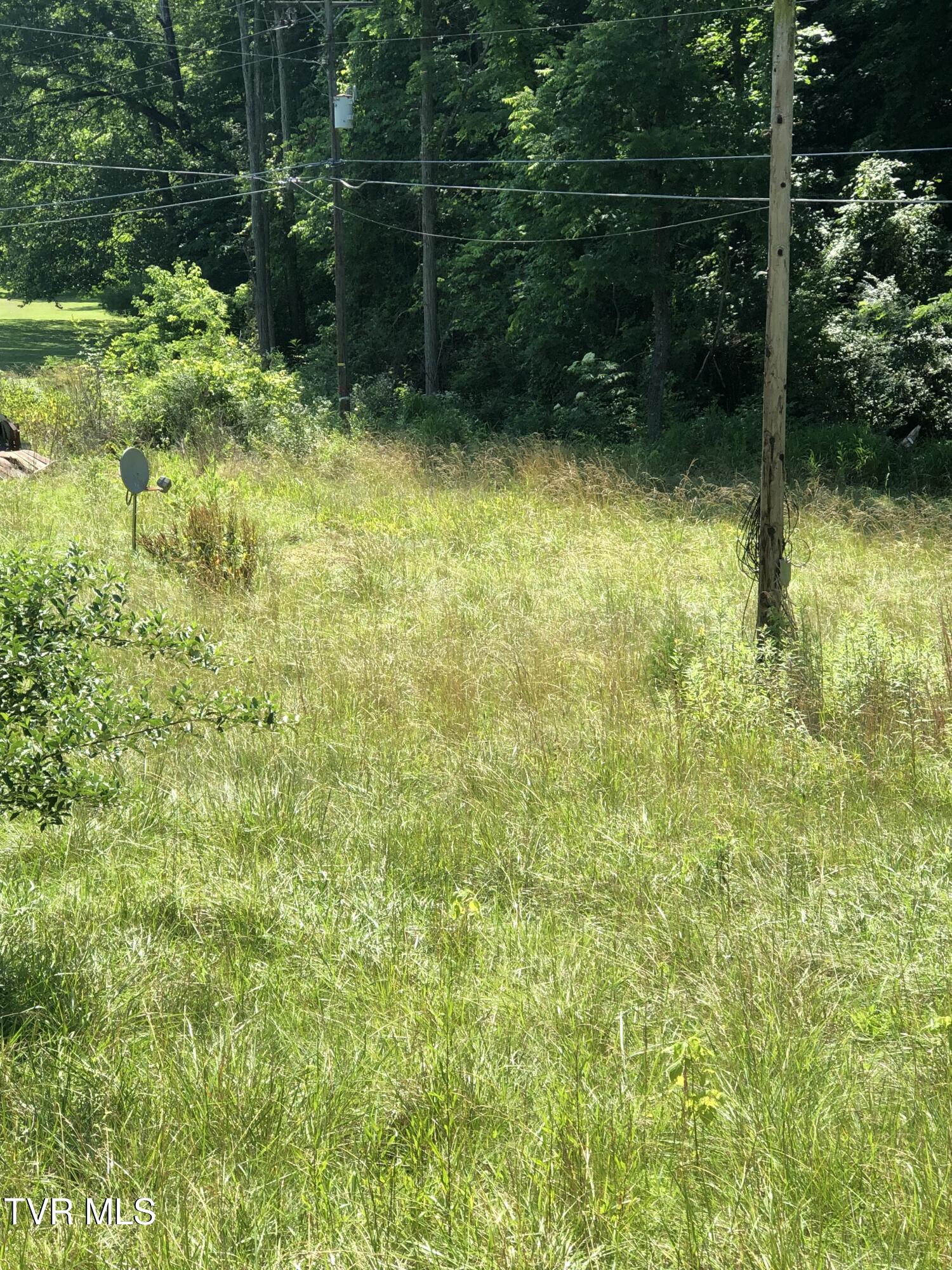 467 Oak Glen Circle Fall Branch, TN 37656 - Photo 4 of 7 IMG_0751