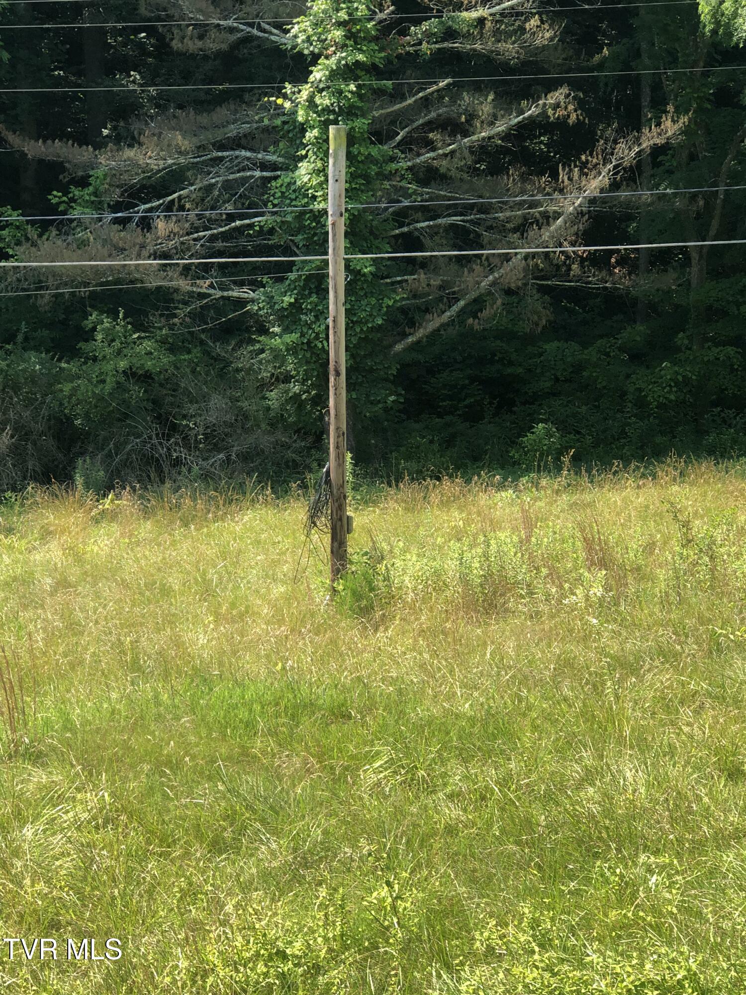 467 Oak Glen Circle Fall Branch, TN 37656 - Photo 5 of 7 IMG_0752