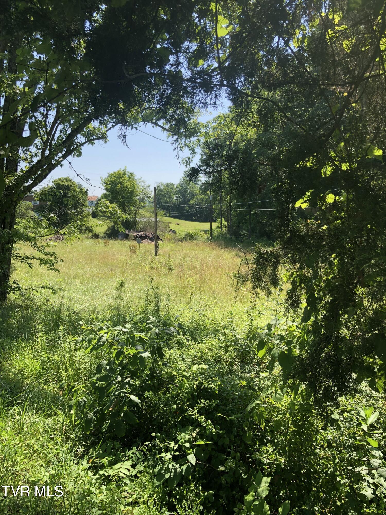 467 Oak Glen Circle Fall Branch, TN 37656 - Photo 7 of 7 IMG_0756