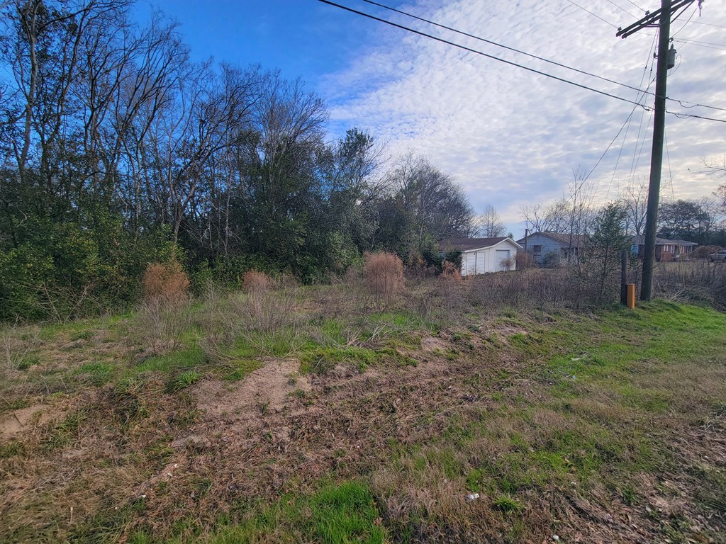49-acres Pansey Road Ashford, AL 36312 - Photo 2 of 16