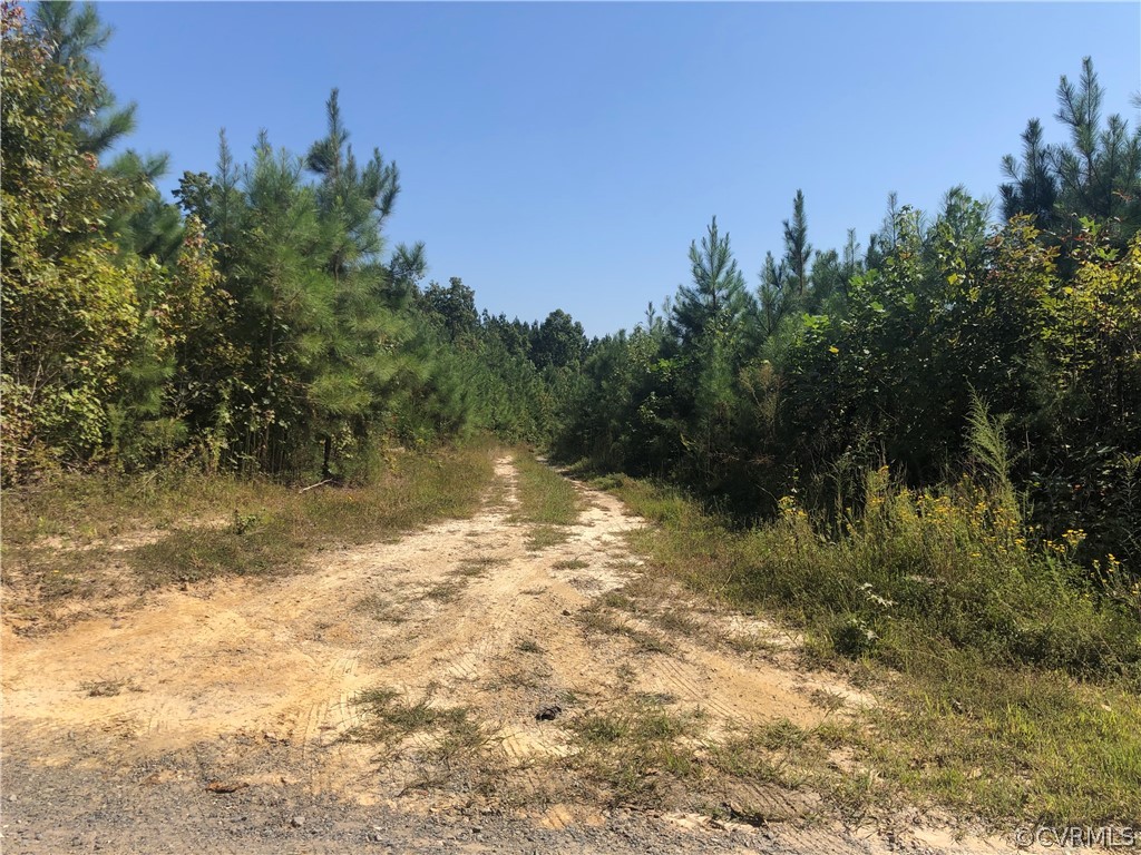 1124 Atkinson Road Mineral, VA 23117 - Photo 1 of 7 Entrance to the land