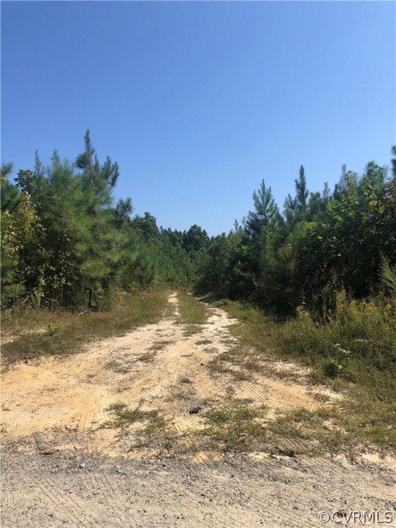 1124 Atkinson Road Mineral, VA 23117 - Photo 3 of 7 Nice Driveway as you enter the land!