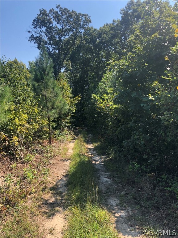 1124 Atkinson Road Mineral, VA 23117 - Photo 4 of 7 Driveway to a potential house site!