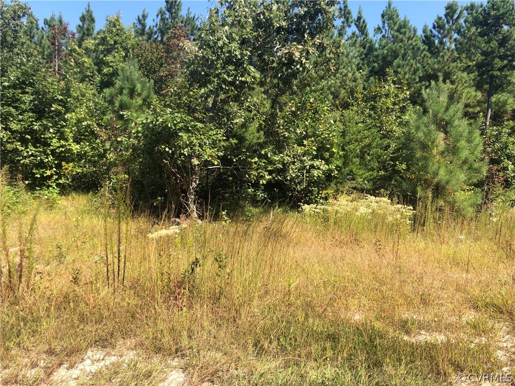 1124 Atkinson Road Mineral, VA 23117 - Photo 6 of 7 Across the driveway - Such privacy!!