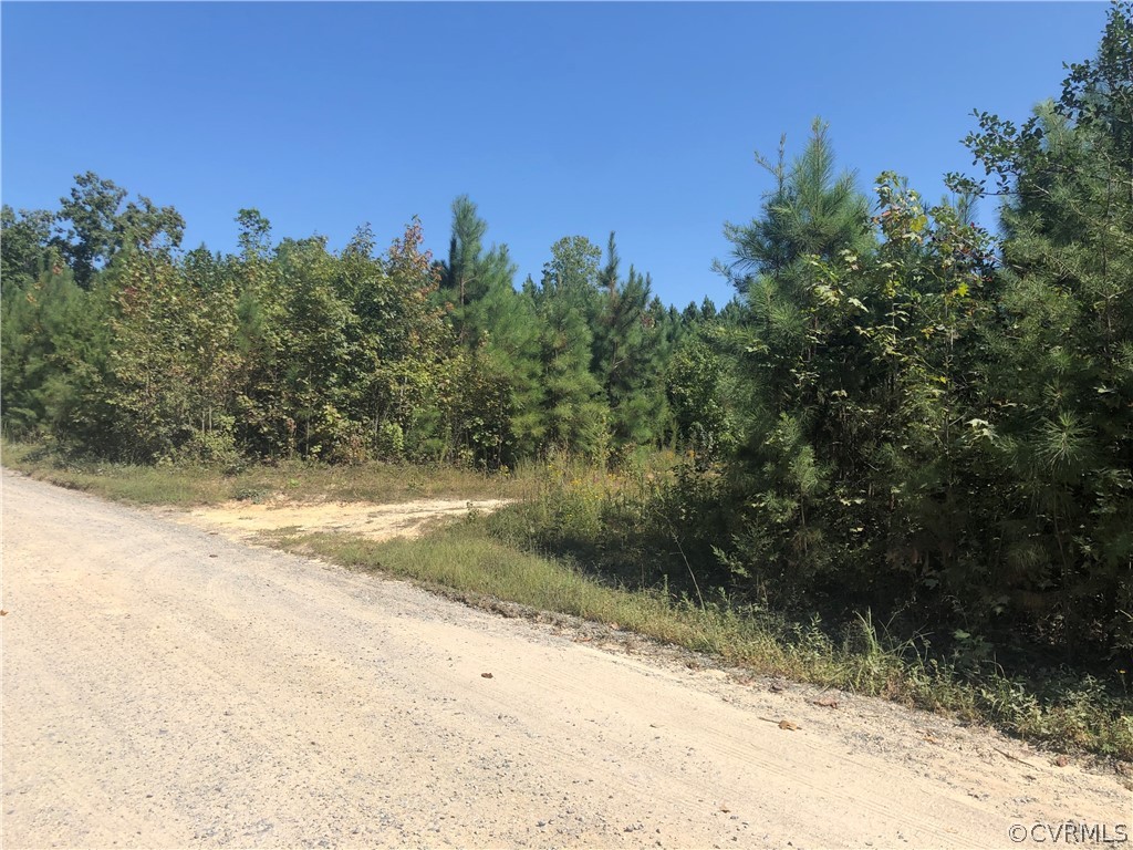 1124 Atkinson Road Mineral, VA 23117 - Photo 7 of 7 Private Gravel Road - coming to the land