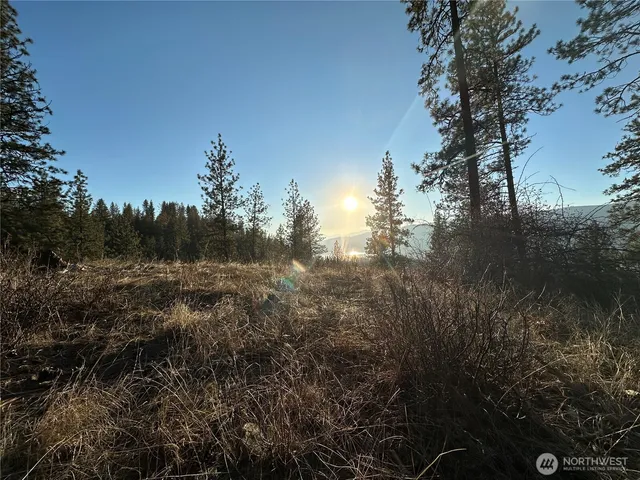 $275,000 | -34xx Daisy Mine Road, Rice, WA 99167