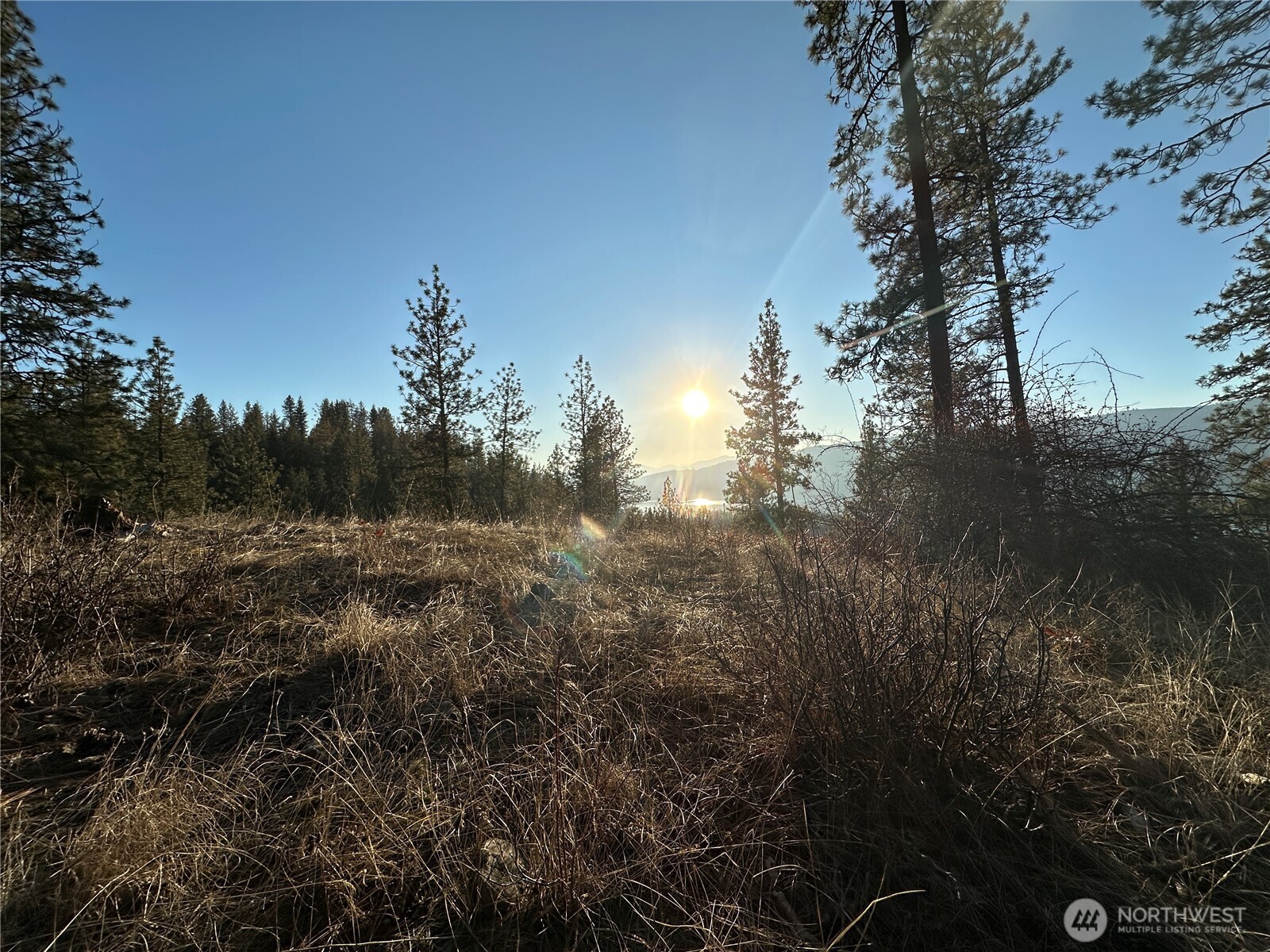 -34xx Daisy Mine Road Rice, WA 99167 - Photo 11 of 16