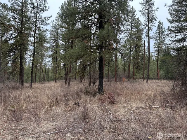 $275,000 | -34xx Daisy Mine Road, Rice, WA 99167