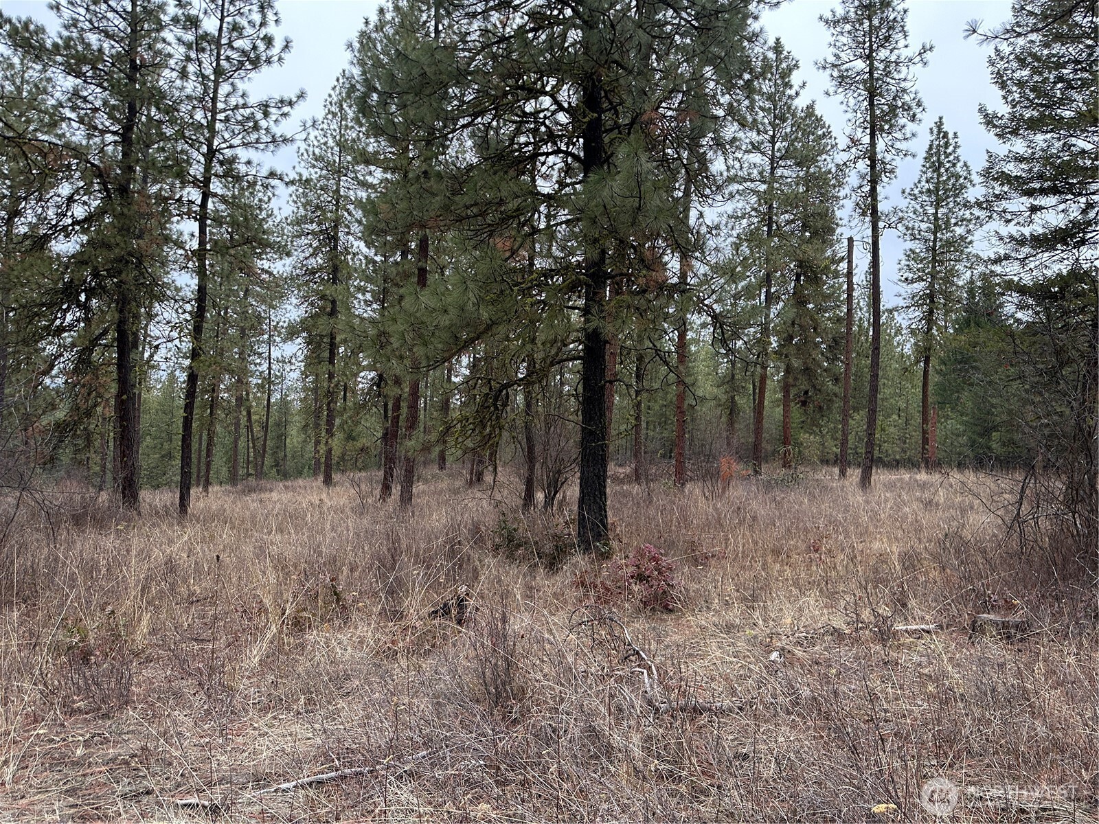 -34xx Daisy Mine Road Rice, WA 99167 - Photo 12 of 16