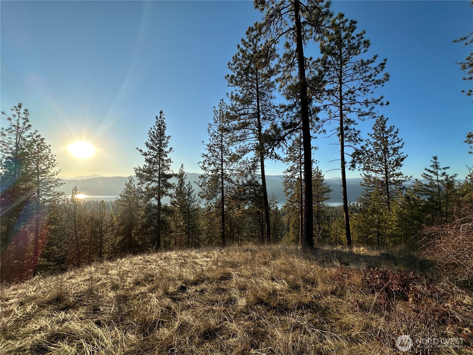 -34xx Daisy Mine Road Rice, WA 99167 - Photo 13 of 16