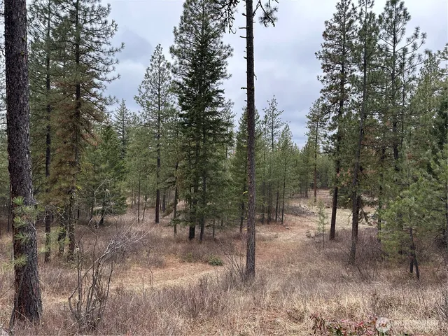 $275,000 | -34xx Daisy Mine Road, Rice, WA 99167