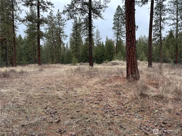 $275,000 | -34xx Daisy Mine Road, Rice, WA 99167