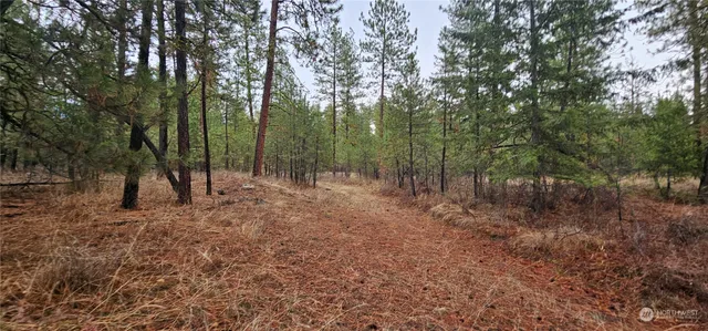 $275,000 | -34xx Daisy Mine Road, Rice, WA 99167