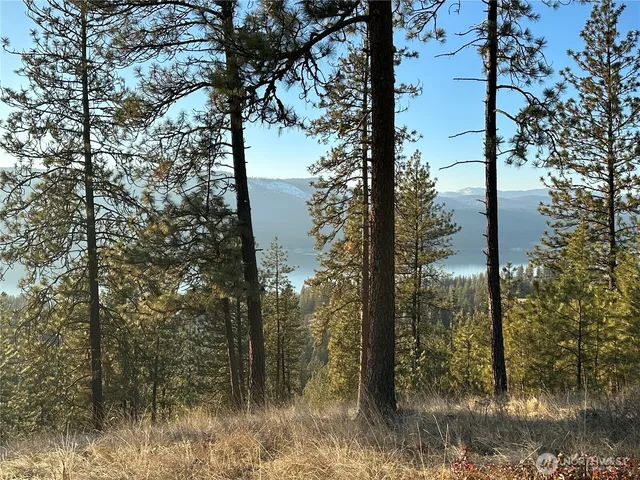 $275,000 | -34xx Daisy Mine Road, Rice, WA 99167