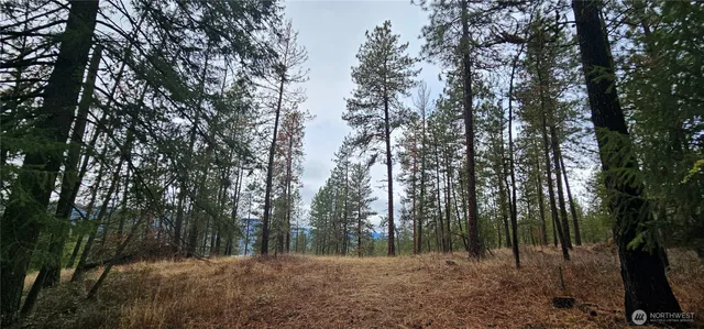 $275,000 | -34xx Daisy Mine Road, Rice, WA 99167