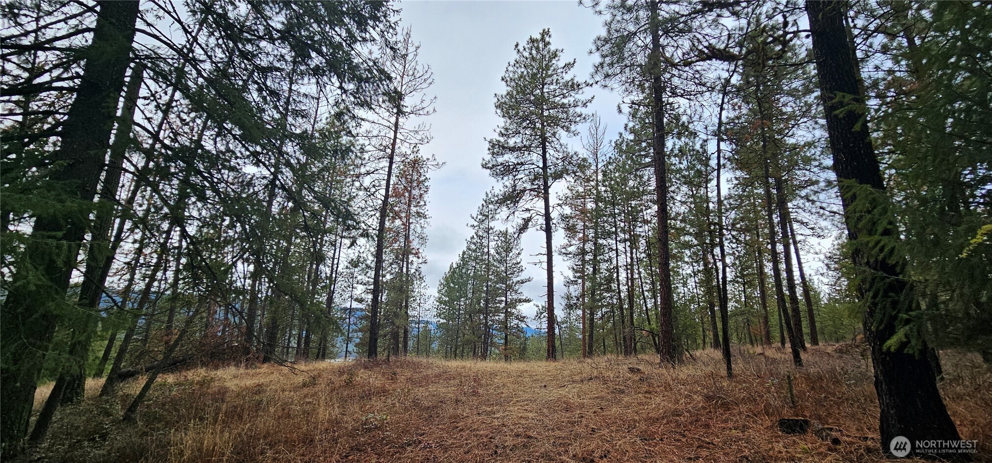 -34xx Daisy Mine Road Rice, WA 99167 - Photo 3 of 16