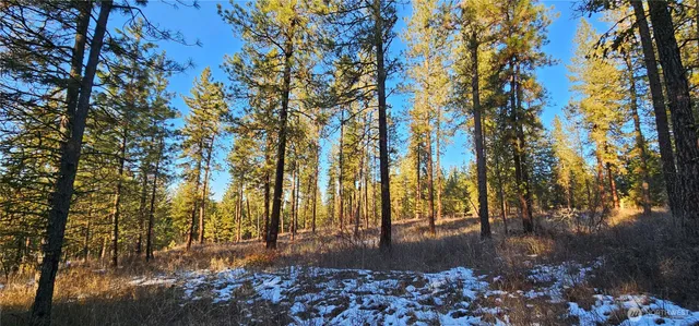 $275,000 | -34xx Daisy Mine Road, Rice, WA 99167