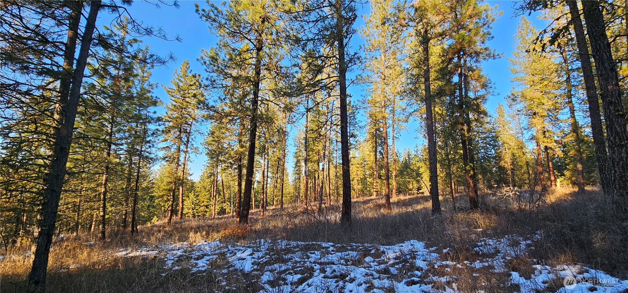 -34xx Daisy Mine Road Rice, WA 99167 - Photo 4 of 16