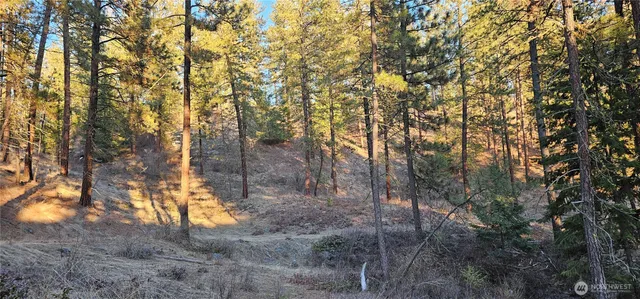 $275,000 | -34xx Daisy Mine Road, Rice, WA 99167