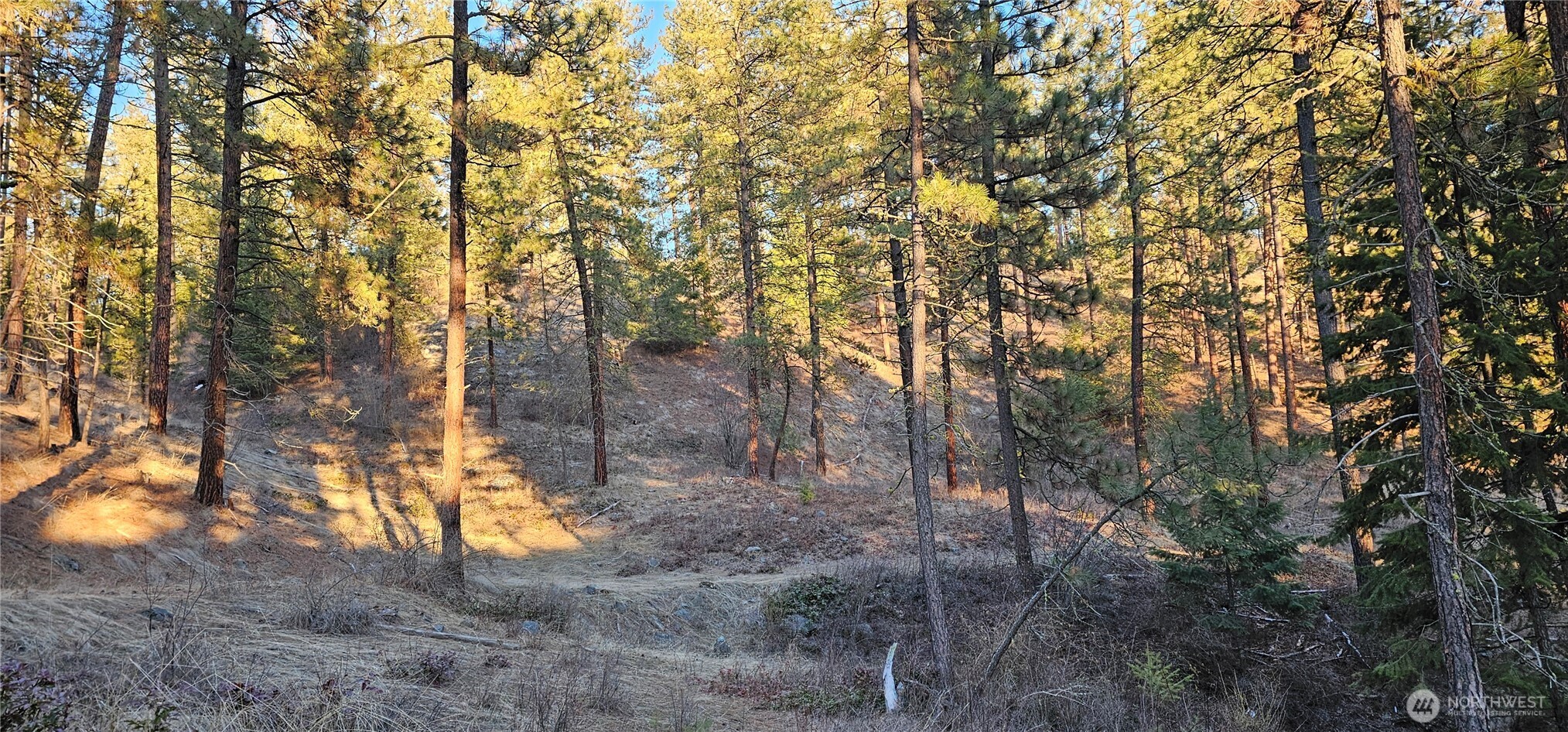 -34xx Daisy Mine Road Rice, WA 99167 - Photo 7 of 16