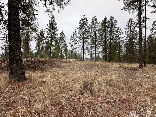 $275,000 | -34xx Daisy Mine Road, Rice, WA 99167