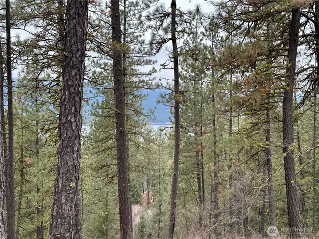 $275,000 | -34xx Daisy Mine Road, Rice, WA 99167