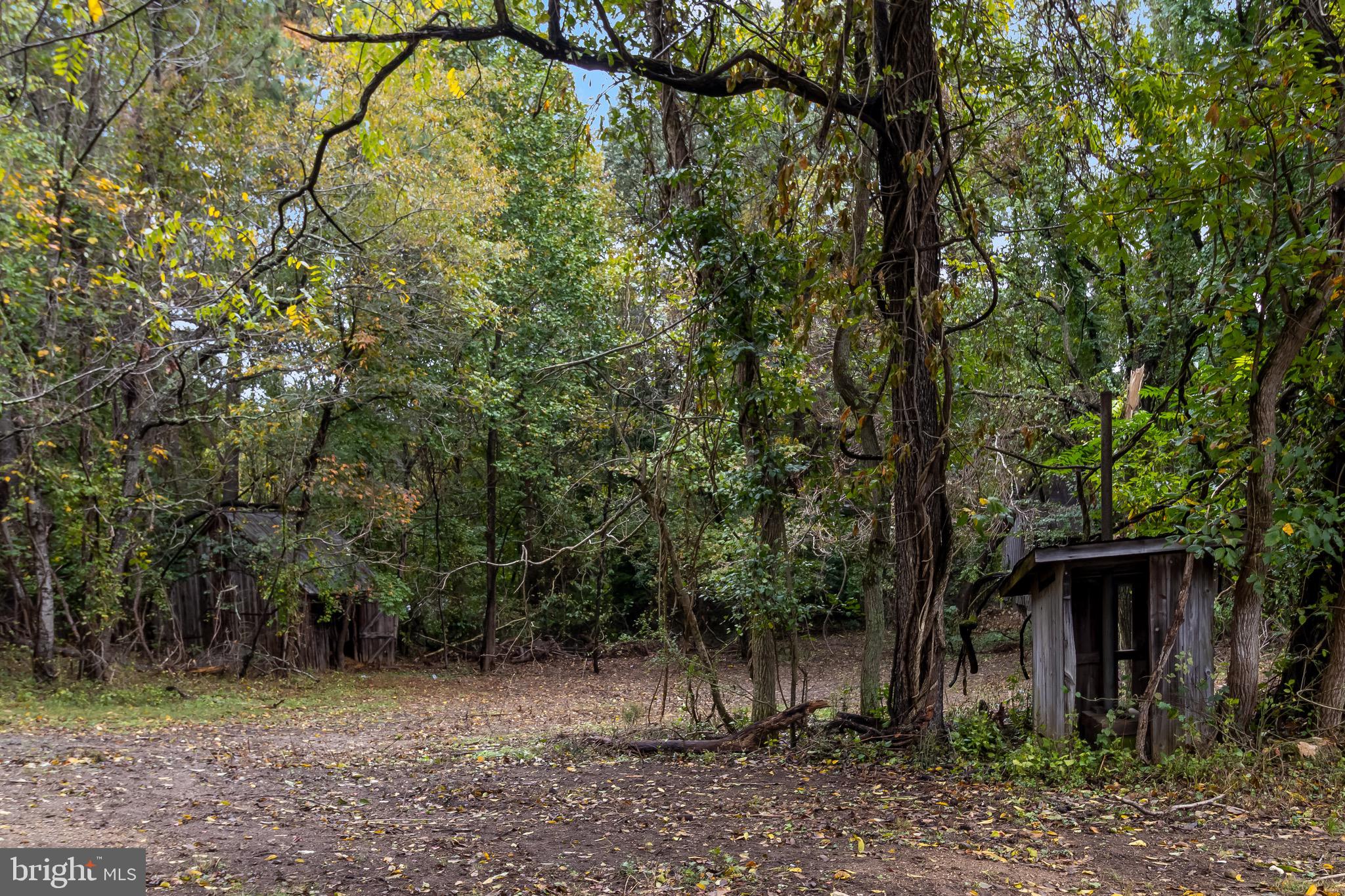 1940 Adelina Road Prince Frederick, MD 20678 - Photo 31 of 37 a view of a backyard