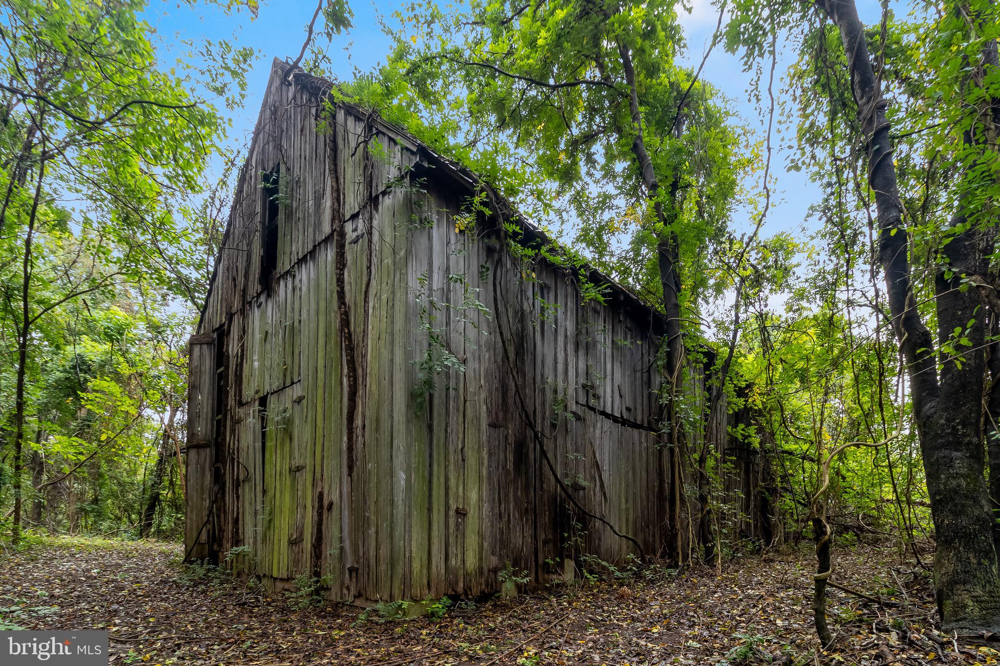 1940 Adelina Road Prince Frederick, MD 20678 - Photo 33 of 37 a view of a back yard of the house