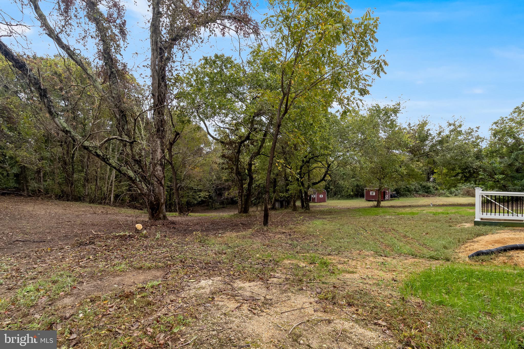 1940 Adelina Road Prince Frederick, MD 20678 - Photo 37 of 37 a view of a yard with a tree
