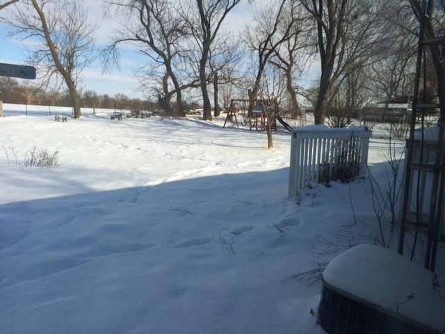 8629 Cambridge Road Kingston, IL 60145 - Photo 7 of 7 Gallery Image 7