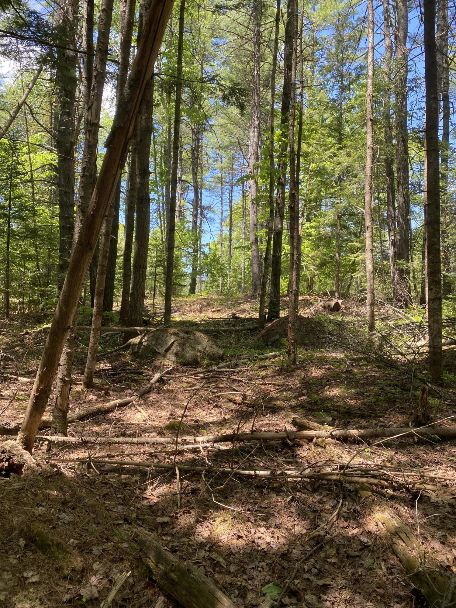 Lot 10 Norway Road Harrison, ME 04040 - Photo 21 of 41 94683538-484A-4207-9965-20ADCB004D00