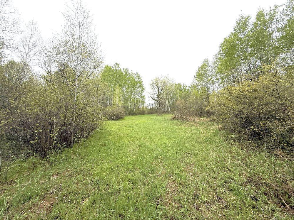 36 Co Highway 36 Frazee, MN 56544 - Photo 50 of 61