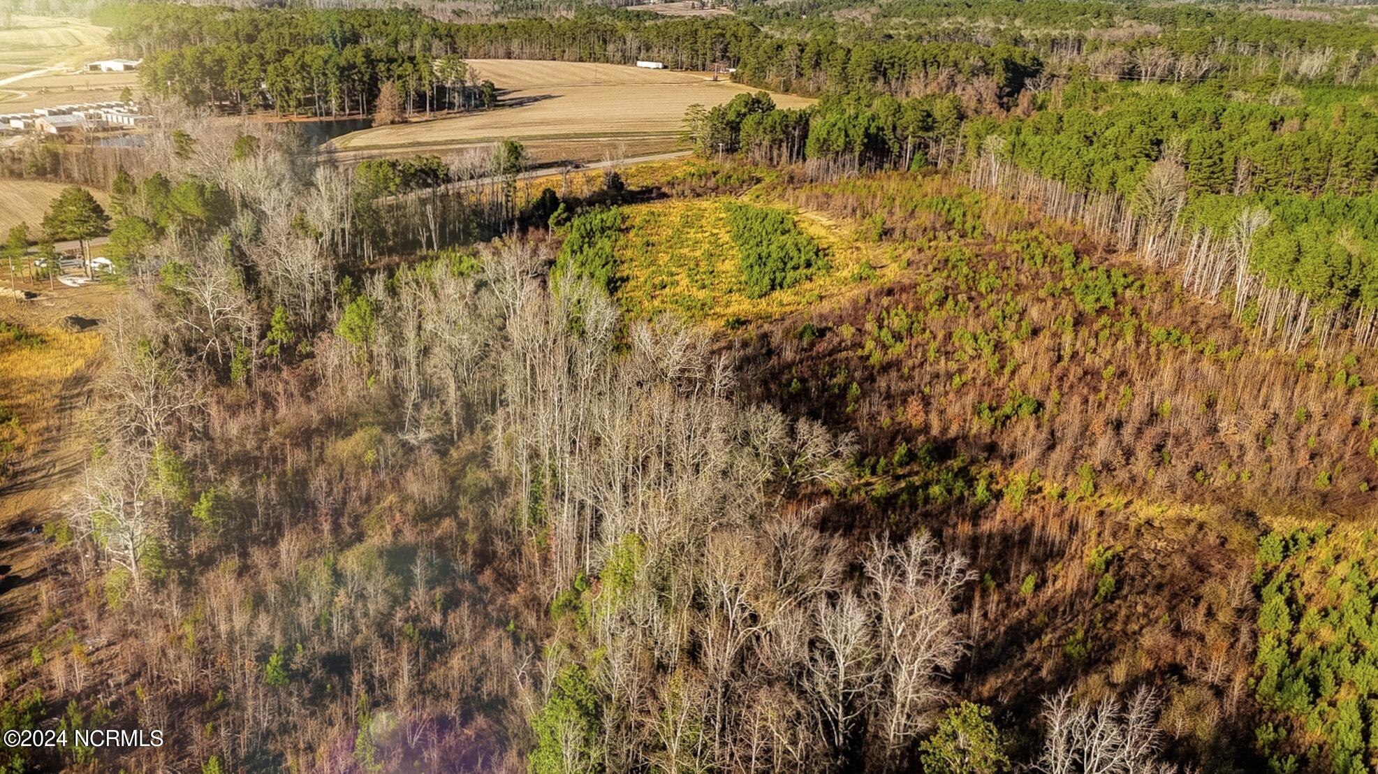 Lot 2 Rays Bridge Road Whispering Pines, NC 28327 - Photo 6 of 7 4E3A3EB1-9070-4670-8D49-CB981A590CB8